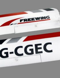 Freewing-FT1021102-CTLS-Tragflaechenset-main-wing-set