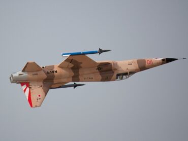 Freewing_F-5_Camo_30