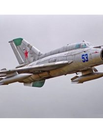 FJ21012P-01
