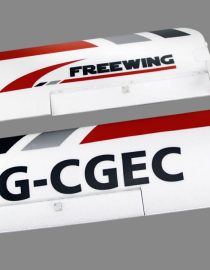 Freewing-FT1021102-CTLS-Tragflaechenset-main-wing-set