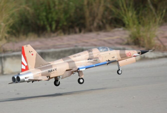 Freewing_F-5_Camo_29