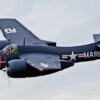 tigercat_1 tigercat_1