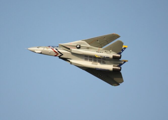 Freewing_F-14_48 Freewing_F-14_48