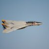 Freewing_F-14_49 Freewing_F-14_49