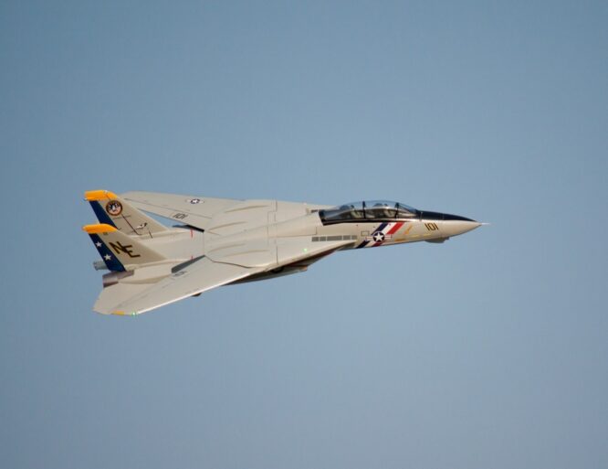 Freewing_F-14_49 Freewing_F-14_49