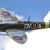 FLW303P-1 FLW303P-1