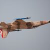 Freewing_F-5_Camo_30.jpg