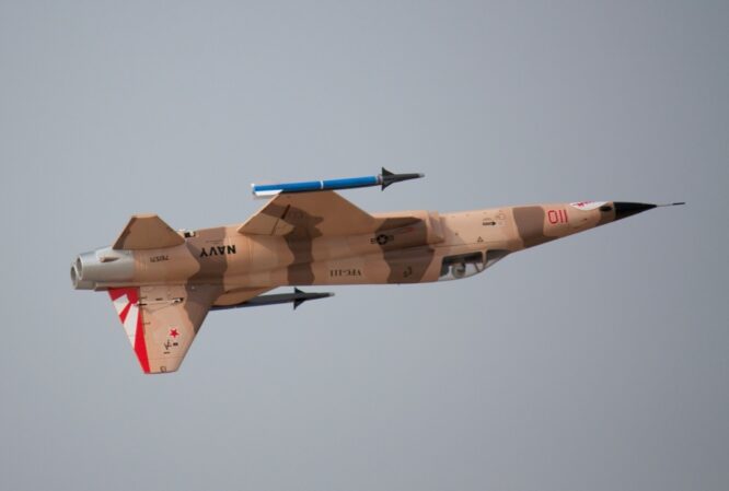 Freewing_F-5_Camo_30.jpg