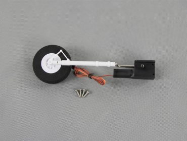 FLW301083.jpg