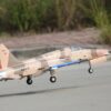 Freewing_F-5_Camo_29.jpg