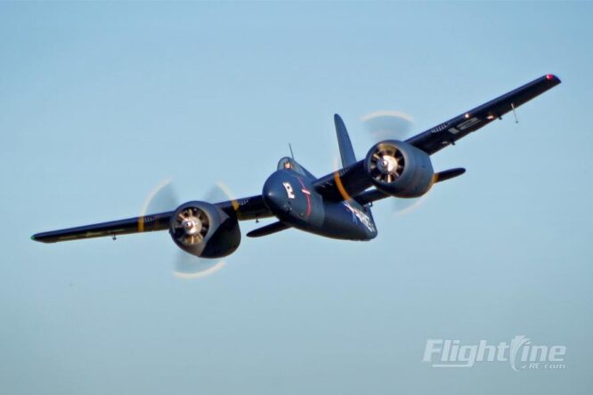 tigercat_3 tigercat_3